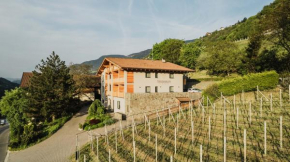 TANOVINUM Apartments Villandro